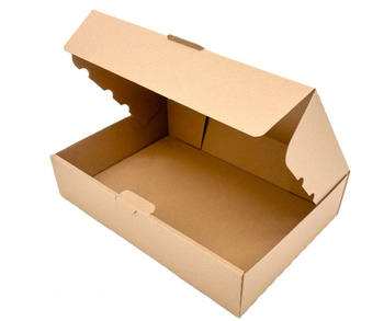 1 St. 350x250x80 mm Karton Versandkarton Faltkarton DHL Kleinpaket