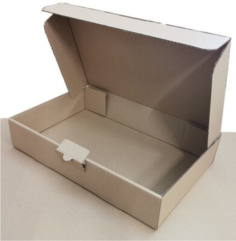 1 St. 400x250x80 mm Karton Versandkarton 1-wellig B-Welle 40x25x8 cm